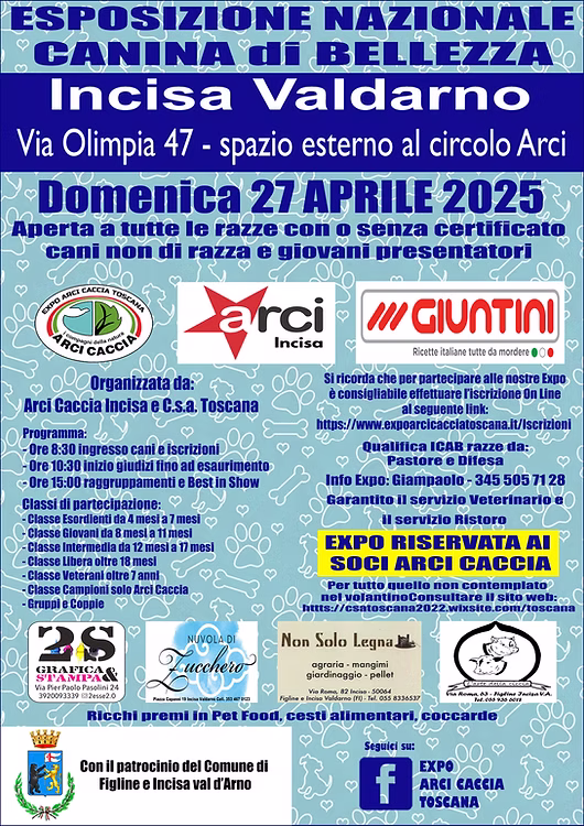 Immagine anteprima