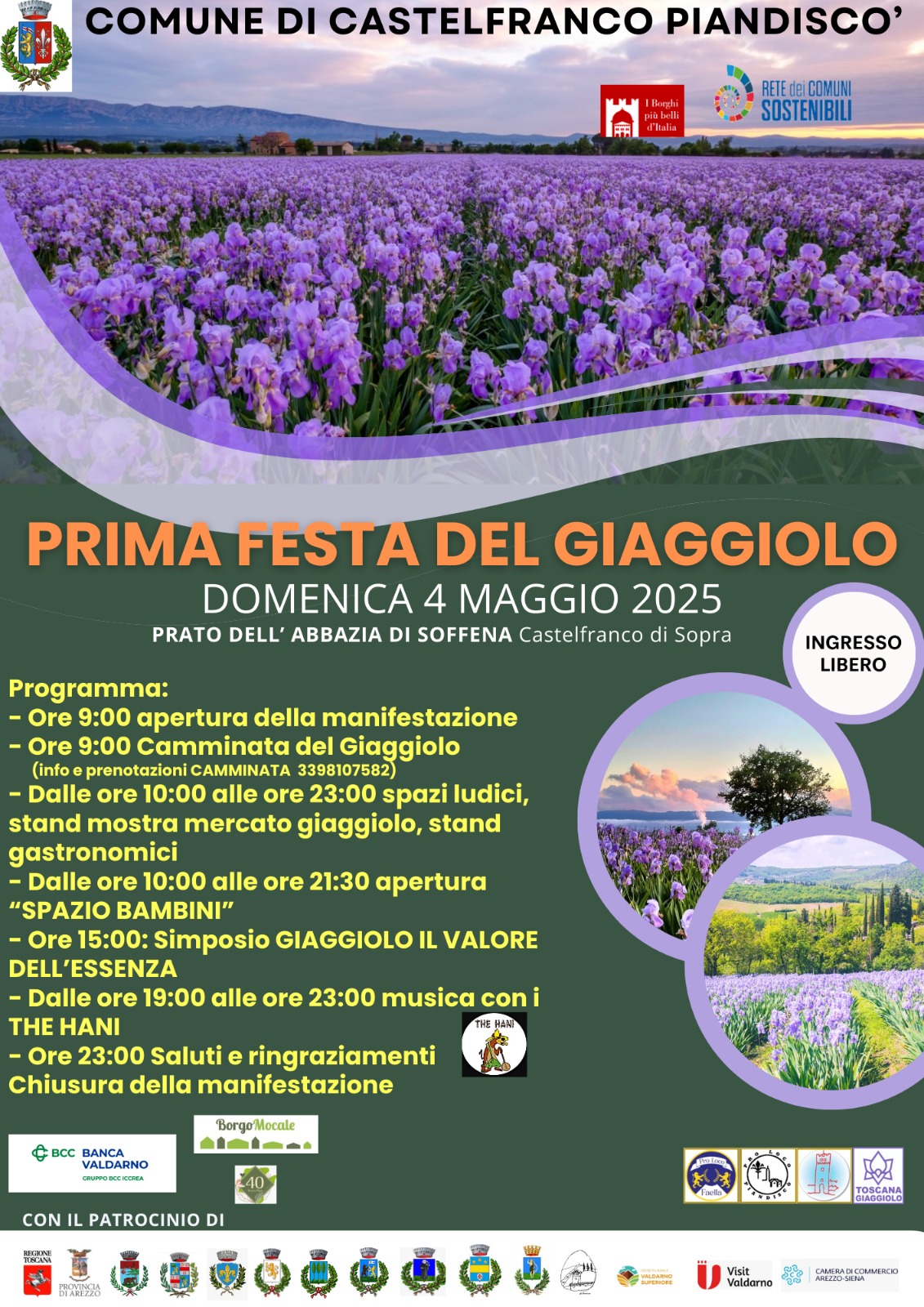 Immagine anteprima